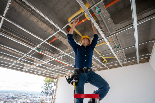 Best Plumbing Inspection Services  in Sauk Centre, MN