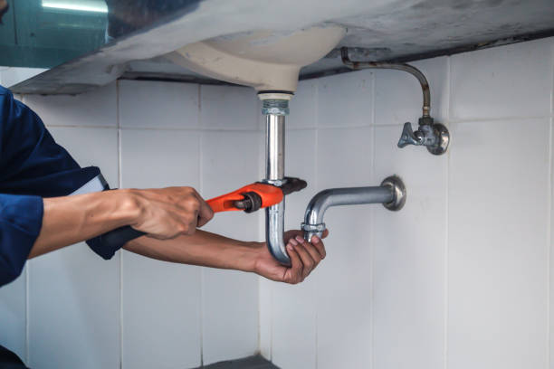 Best Residential Plumbing Services  in Sauk Centre, MN