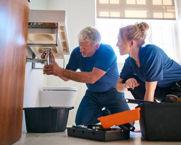 Best Pipe Repair Near Me  in Sauk Centre, MN